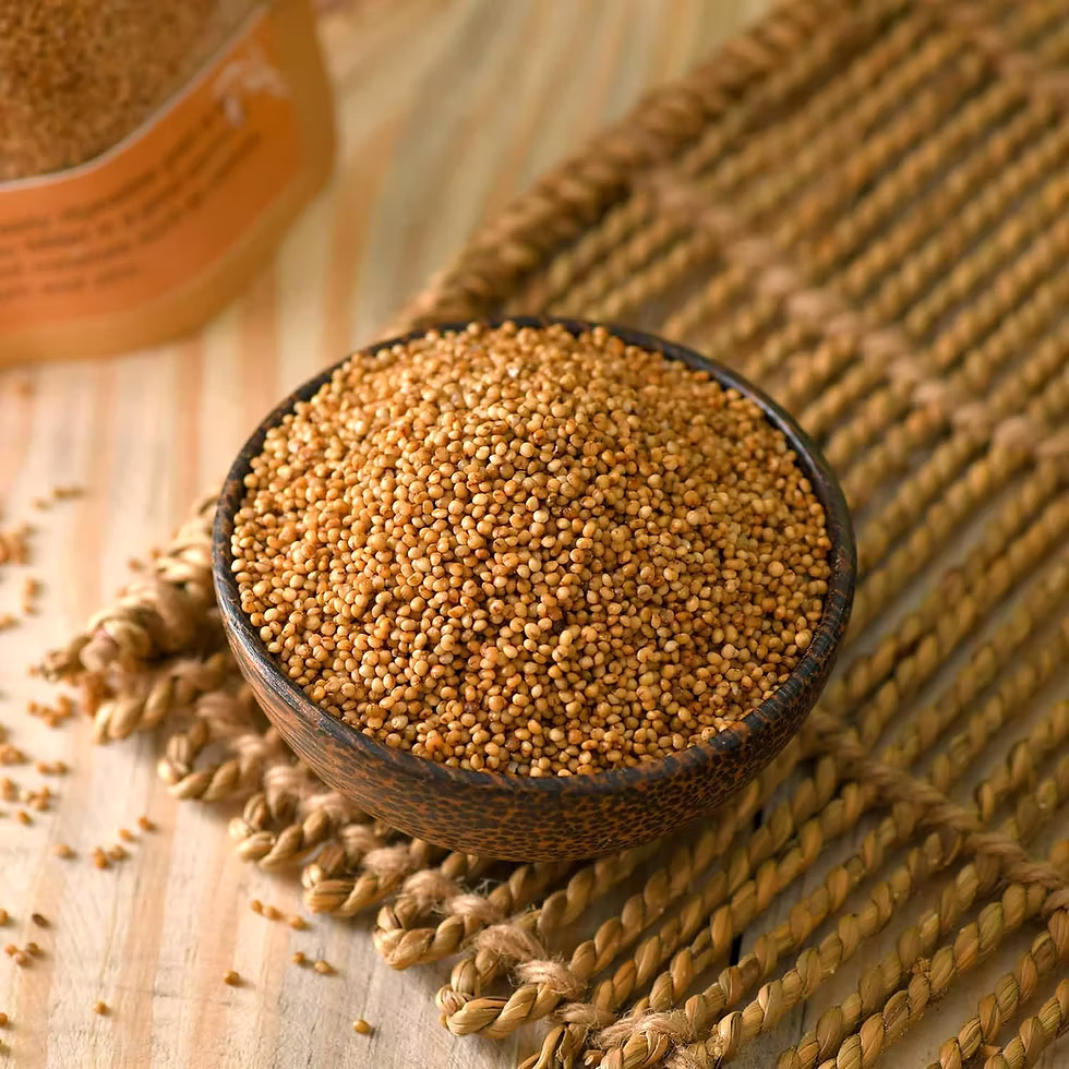 Kodo Millet Grains