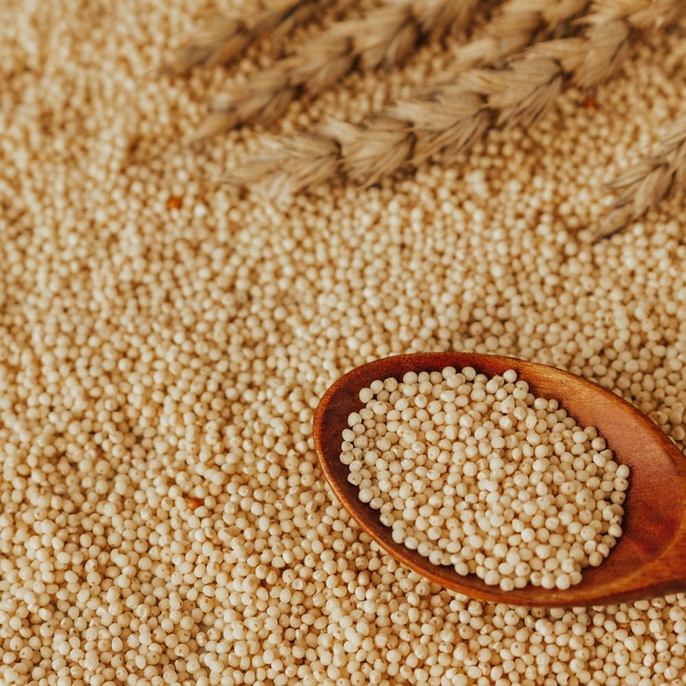 Proso Millet Grains